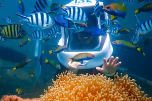 海洋世界冒险